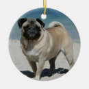 Search for mops ornaments Carlin