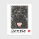 Search for black panther cat stickers Animal