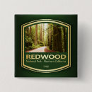 Search for redwoods buttons Redwood national park