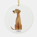 Search for pet sitter ornaments Cute