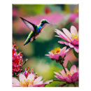 Recherche de colibri posters Oiseau