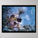 Search for winter night scene posters Stars