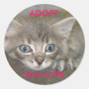 Search for save a life stickers Adopt