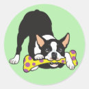 Search for boston terrier stickers Canine