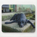 Search for tranquillity electronics Relaxation