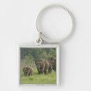 Search for indian elephant keychains Corbett national park
