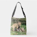 Recherche de renard rouge sacs Chiot