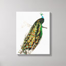 Recherche de paons art Oiseau