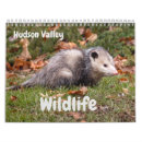 Recherche de wildlife calendriers Nature