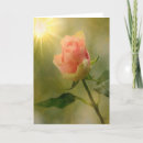 Recherche de affranchissement rose Roses