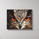 Recherche de chouettes art Image