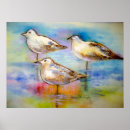 Recherche de mouettes posters Océan