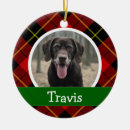 Search for new puppy ornaments Dog