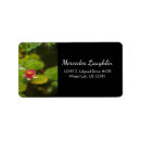 Search for impressionists labels Nature