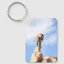 Search for mountain top keychains Zoo