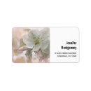 Search for apple blossoms return address labels Botanical