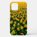 Search for fields iphone cases Flower