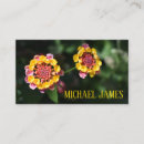 Search for perennials Yellow