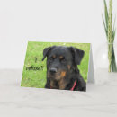 Recherche de têtu vœux cartes Animaux