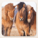Recherche de cheval islandais dessous de verres Délimiteur danita