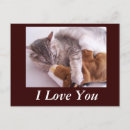 Search for i love you postcards Cute