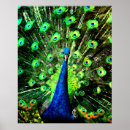 Search for strut posters Bird
