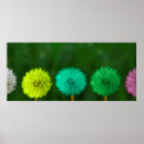 Search for multicolour posters Red