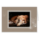 Recherche de poils photographie Animal