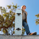 Search for blue ice skateboards Winter