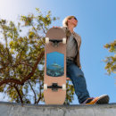 Recherche de requin skateboards Vie marine