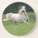 Recherche de arabe dessous de verres Cheval