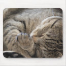 Search for cuddle standard mousepads Cats