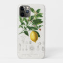 Search for fruit illustration iphone cases Lemon