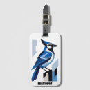 Search for blue jay Wildlife