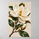 Search for magnolia art Flower