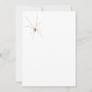 Search for arachnids invitations Scary