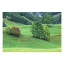 Search for lush posters Pasture