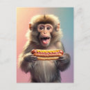 Search for cute monkeys postcards Funny