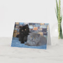 Recherche de chat persan vœux cartes Animal domestique