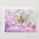 Search for hello spring cards Bird