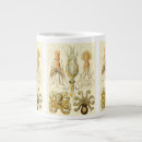 Search for octopus mugs Marine life
