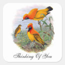 Search for bird of paradise stickers Colourful