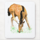 Search for foal mousepads Animal