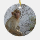 Search for monkey ornaments wildlife