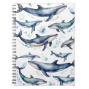 Search for dolphin notebooks Sea creature