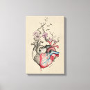 Search for anatomical heart art Vintage