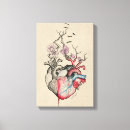 Search for anatomical heart art Drawing