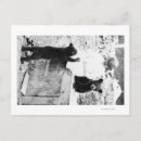 Recherche de cuill photographie Alaska