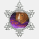 Search for piggy ornaments Pet