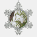 Recherche de special ornements Noël